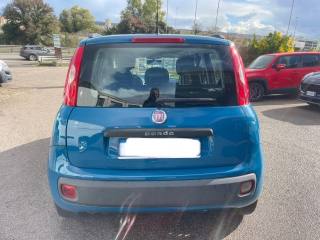 FIAT Panda usata 4