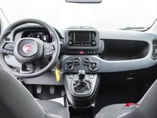 FIAT Panda usata 14