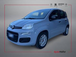 FIAT Panda 1.2 Radio Clima 5P