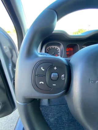FIAT Panda usata 31