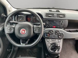 FIAT Panda usata 9