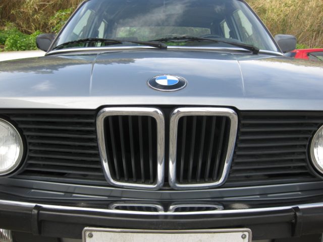 BMW 520 usata 48