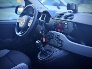 FIAT Panda usata 25