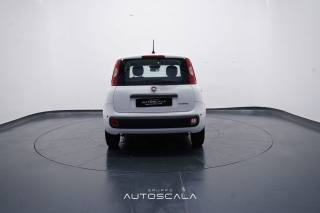 FIAT New Panda usata, con Chiusura centralizzata
