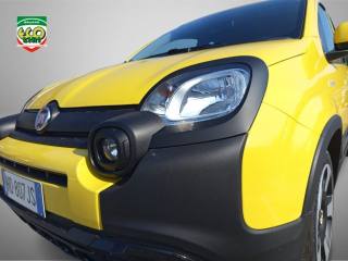 FIAT Pandina usata, con Controllo elettronico della corsia