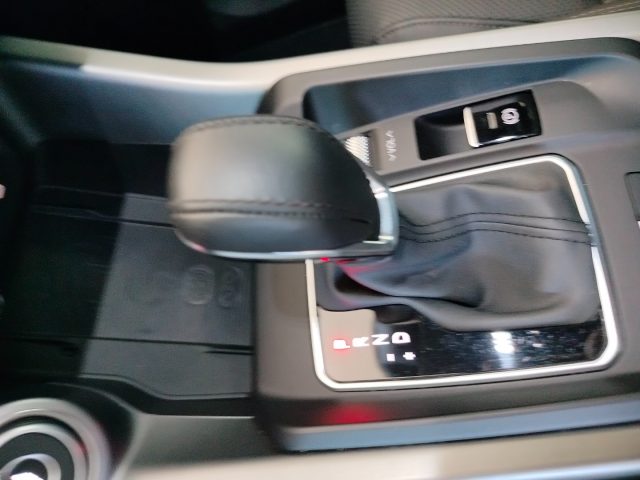 ALFA ROMEO Tonale usata 30