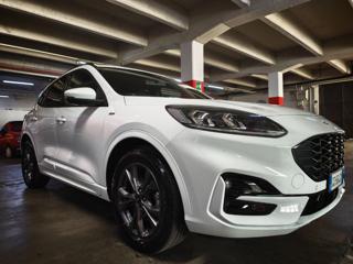 FORD Kuga usata, con Portapacchi