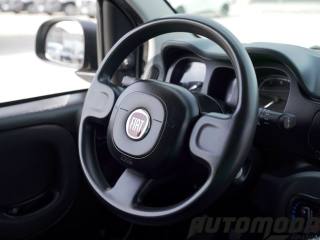 FIAT Panda usata 12