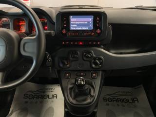 FIAT Panda usata, con Climatizzatore