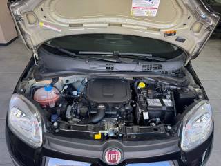 FIAT Panda usata 12