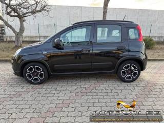 FIAT Panda usata, con Antifurto