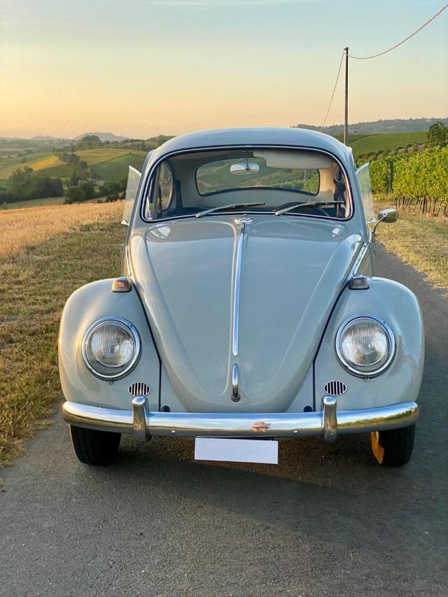 VOLKSWAGEN Maggiolino usata 7