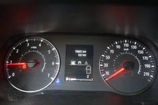 RENAULT Trafic usata 26