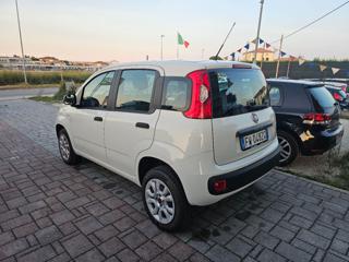 FIAT Panda usata, con Airbag Passeggero