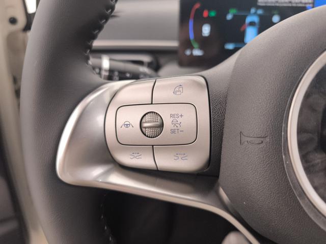 BYD Dolphin Surf usata, con Regolazione elettrica sedili