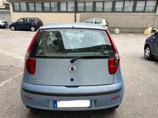 FIAT Punto usata, con Chiusura centralizzata