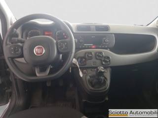 FIAT Panda usata, con Airbag testa
