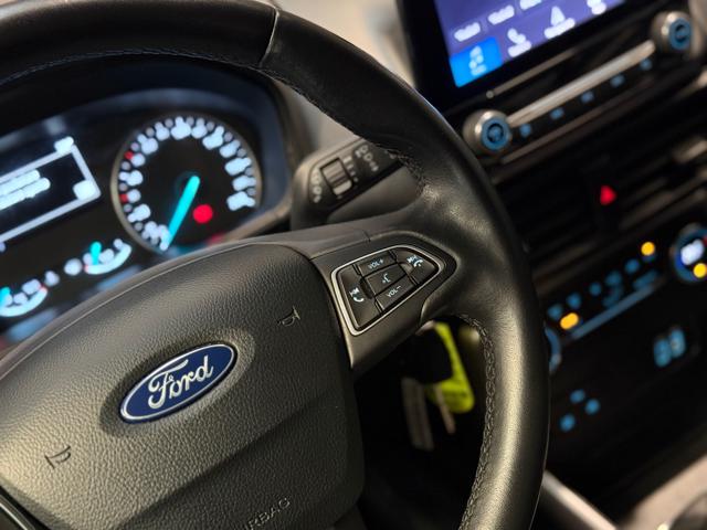 FORD EcoSport usata, con Trazione integrale