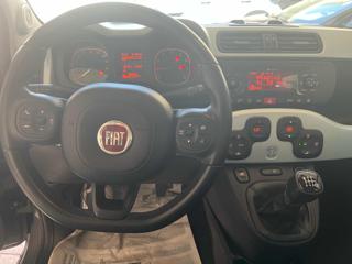 FIAT Panda usata, con Alzacristalli elettrici