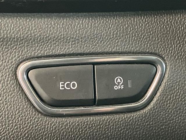 RENAULT Kadjar usata 27