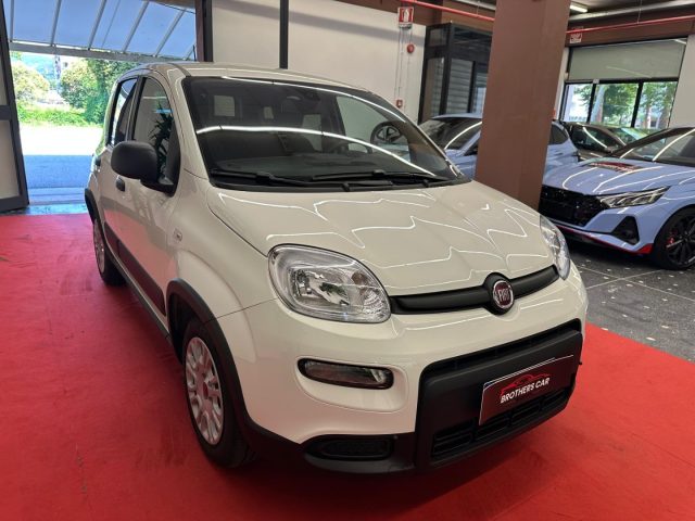 FIAT Panda usata, con Airbag Passeggero