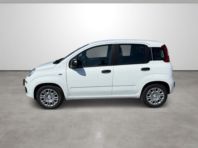 FIAT Pandina usata, con Climatizzatore