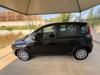 FIAT Panda usata, con Luci diurne