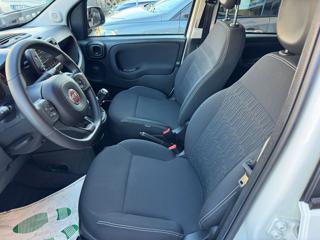 FIAT Panda Cross usata, con Climatizzatore