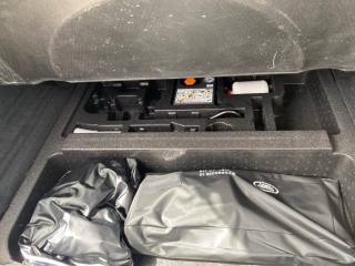 LAND ROVER Range Rover Evoque usata, con Immobilizzatore elettronico