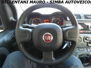 FIAT Panda usata, con Airbag testa