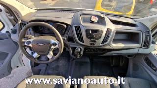 FORD  usata 10