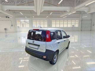 FIAT Panda usata, con Alzacristalli elettrici