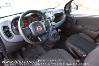 FIAT Panda usata 5