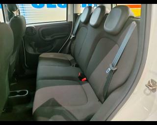 FIAT New Panda usata 14