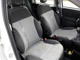 FIAT Panda usata 31