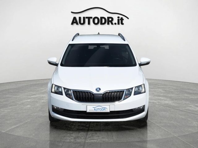 SKODA Octavia usata, con Fendinebbia