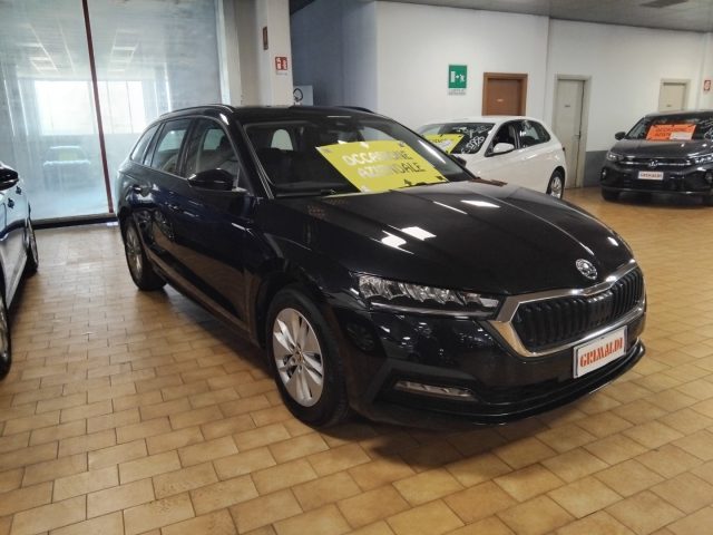 SKODA Octavia usata, con ABS