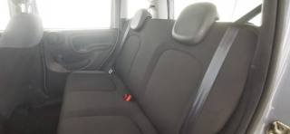 FIAT Panda usata 14