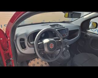 FIAT New Panda usata, con Controllo automatico clima