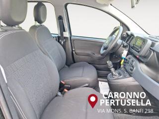 FIAT Panda usata, con Airbag testa