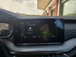 SKODA Octavia usata, con Supporto lombare