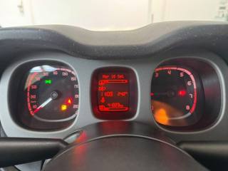 FIAT Panda Cross usata, con Controllo vocale