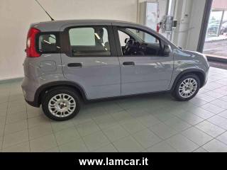FIAT Panda usata, con Immobilizzatore elettronico