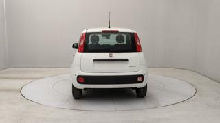 FIAT Panda usata, con Airbag Passeggero