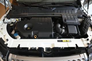 LAND ROVER Range Rover Evoque usata 67