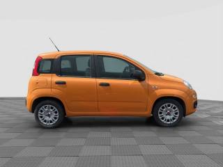 FIAT Panda usata 5