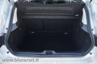 RENAULT Clio usata 12