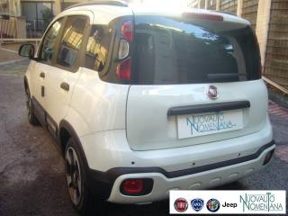 FIAT Panda Cross usata, con Servosterzo