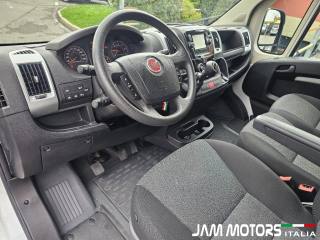 FIAT  usata 6