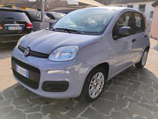 FIAT Panda usata, con Climatizzatore